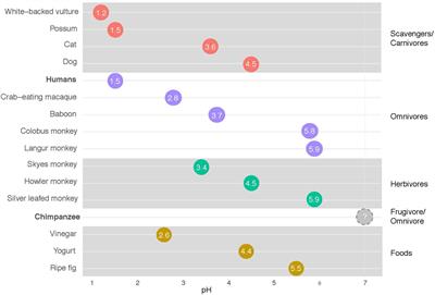 The Internal, External and Extended Microbiomes of Hominins